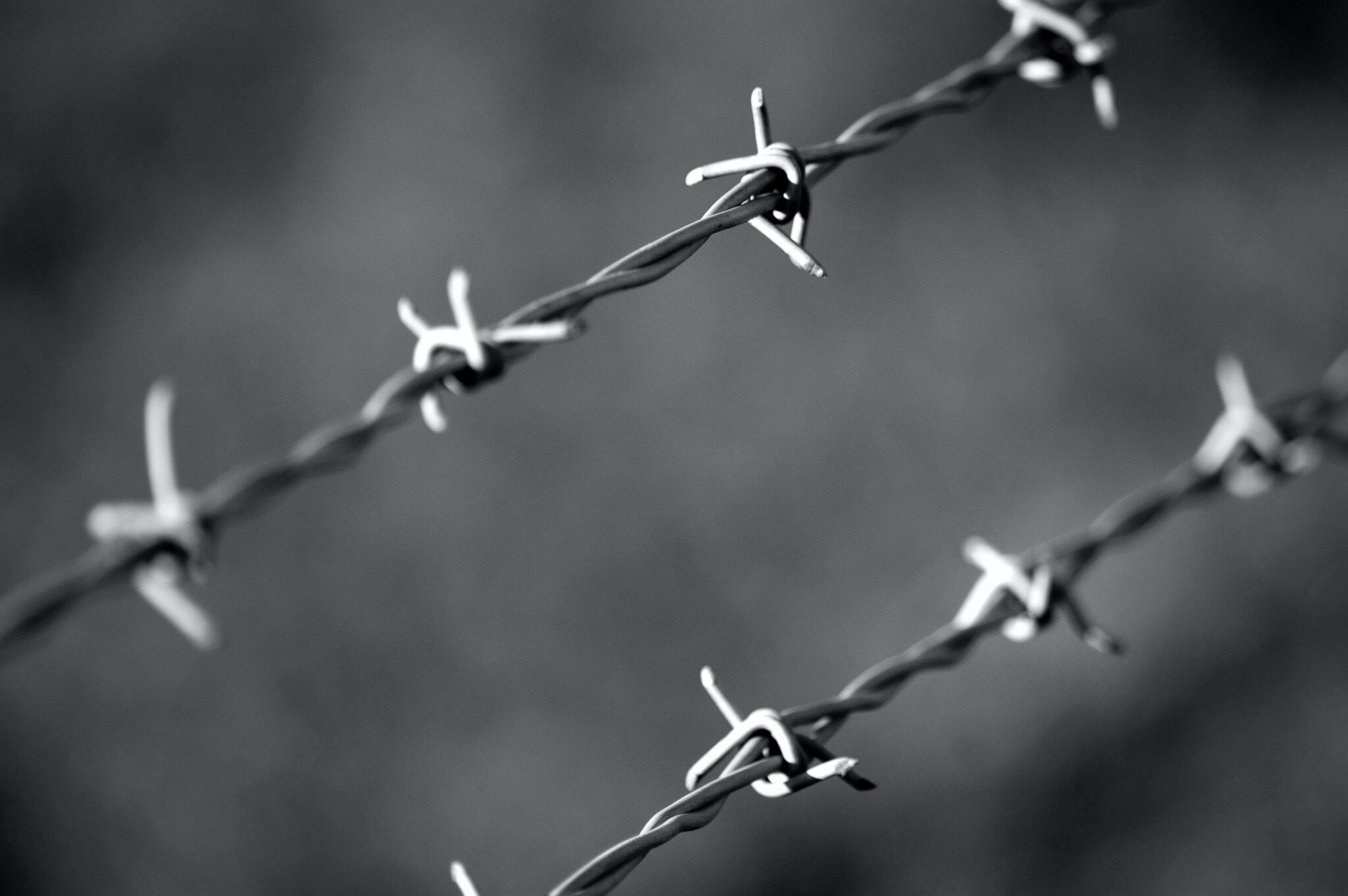 Colorado Law Updates 2023 Rubicon Law